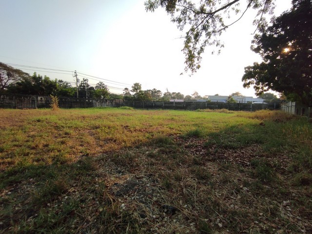 ขายที่ดินเปล่าถมแล้ว ม.ปัญญาอินทรา P.9 ขนาด 1-1-13 ไร่ ทำเลศักยภาพ เหมาะสำหรับสร้างบ้าน