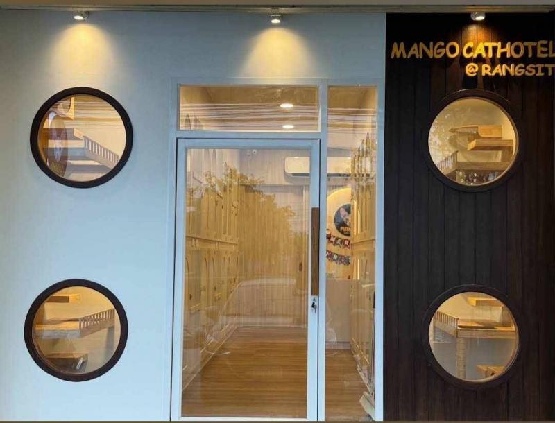 เซ้งโรงแรมแมว เฉพาะโครงสร้าง รังสิต ตกแต่งครบ เดินทางสะดวก ใกล้แหล่งชุมชน เพียง  250,000 บ สร้างไป 