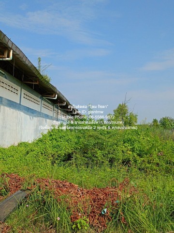 รง. ขายโรงงาน (สำนักงาน และโกดัง) อ.เมือง จ.สมุทรสาคร 4-1-61 ไร่ ราคา 45 ล้านบาท 1716 sq.wa 45000000 - ไม่ไกลจาก ศูนย์กระจายสินค้าแมคโครมหาชัย ทำเลทอง สมุทรสาคร