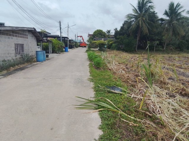 ให้เช่าที่ดินระยะยาวไร่ละ 4500 บาท ให้เช่าที่ดินบ้านบึงชลบุรีบนเนื้อ 9-3-68  ไร่  2  โฉนด