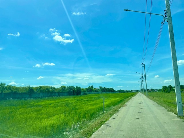 [ขาย] ที่ดิน 1 ไร่ | สามเรือน บางปะอิน อยุธยา | ติดถนนสาธารณะ | ใกล้มอเตอร์เวย์ | 3.88 ล้าน