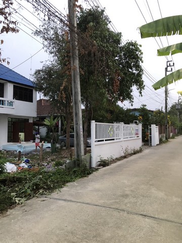 ตุนทรัพย์เก็บขายเก็งกำไร บ้านปูน 1 ชั้น ต.บางเลน อ.บางใหญ่ 100 วา แหล่งเจริญ  นนทบุรี เนื้อที่ ราคาคุยได้ค่ะ