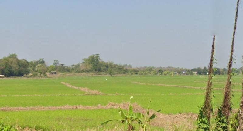 ขายที่ดินแปลงใหญ่ ติดถนนไฮเวย์ลำปาง ทำเลทอง เพื่อการลงทุน เหมาะสำหรับทำโกดัง, คลังสินค้า, โครงการบ้านจัดสรร หรือเก็บสะสมมูลค่าในอนาคต