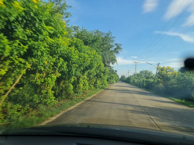 ตุนทรัพย์เก็บขายเก็งกำไร  ขายที่ดิน 4ไร่เศษ ติดถนนคอนกรีต ต.มหาราช อ.มหาราช จ.อยุธยา