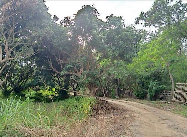 ขายที่ดิน #ผังสีเหลือง #ติดแม่น้ำ 3.8 ล้านต่อไร่ 40-2-04 ตรว. ทำเลดี #หางดง #ติดทางเข้าวิทยาลัยนอร์ท เชียงใหม่ | ใกล้ถนนใหญ่สาย 108