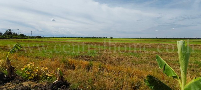 R1 ที่ดินเปล่า 4 ไร่ 28.3 ตร.วา ถนนบางเลน 346 นครปฐม 