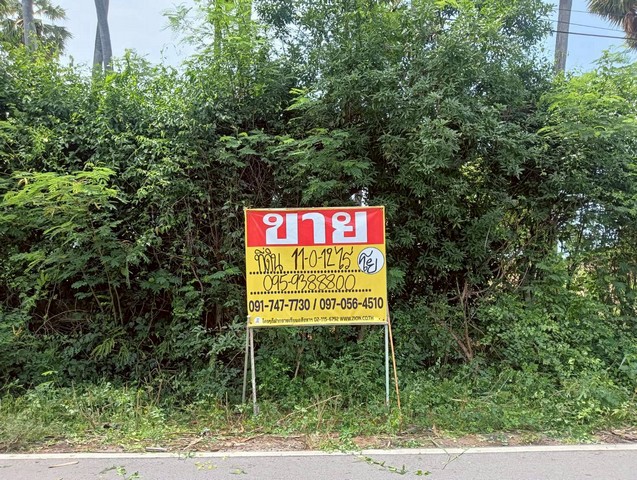 ขายที่ดิน 11-0-12 ไร่  ทำเลสวย  ติดทะเล ติดภูเขา   ปากน้ำปราณ  ปราณบุรี  ประจวบคีรีขันธ์   ZW586