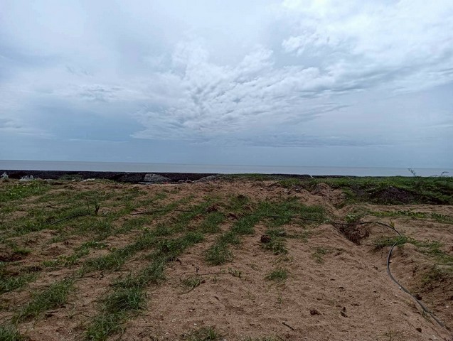 ขายที่ดิน 11-0-12 ไร่  ทำเลสวย  ติดทะเล ติดภูเขา   ปากน้ำปราณ  ปราณบุรี  ประจวบคีรีขันธ์   ZW586