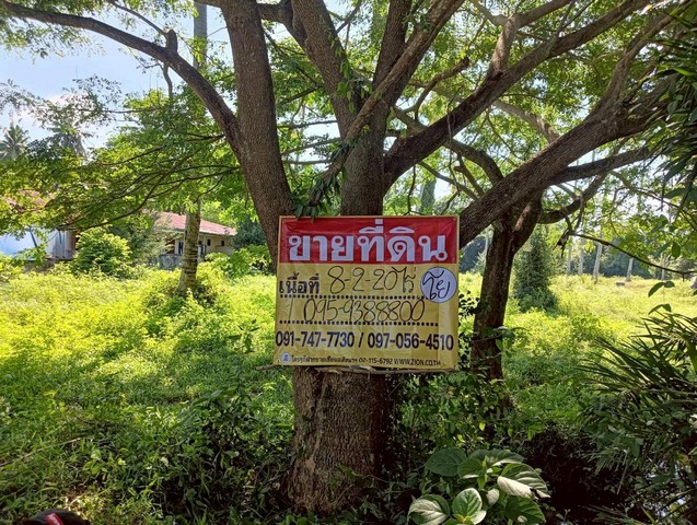 ขายที่ดิน 8-2-20 ไร่  ทำเลสวย วิวธรรมชาติ  ธงชัย  บางสะพาน  ประจวบคีรีขันธ์  ZW583