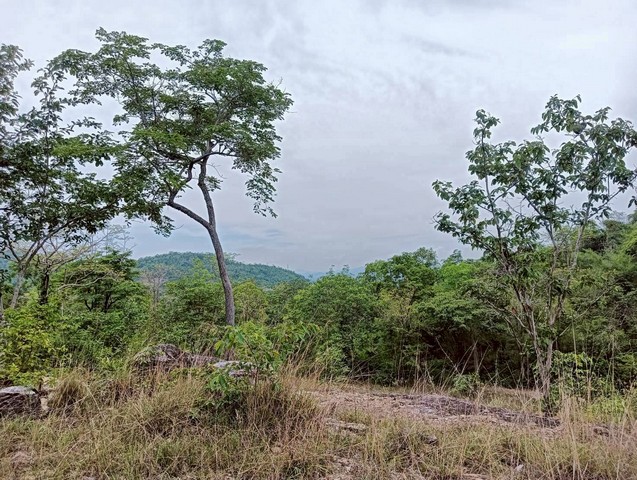 ขายที่ดิน 18 ไร่   วิวภูเขา ทำเลสวย อยู่ใกล้ชุมชน  หัวหิน   ประจวบคีรีขันธ์   ZW581