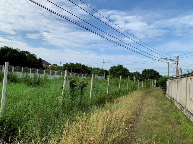 ขายที่ดิน 1-1-74 ไร่ ทำเลสวย  ใกล้ศูนย์ศิลปาชีพบางไทรฯ ติดแม่น้ำเจ้าพระยา จ.อยุธยา    ZW580