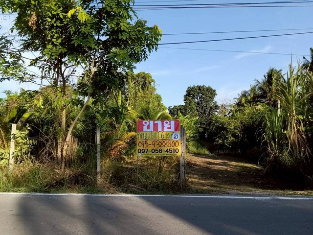 ขายที่ดิน 6 ไร่  พร้อมบ้าน ใกล้ตลาดน้ำอัมพวา บางนางลี่  สมุทรสงคราม   ZW579