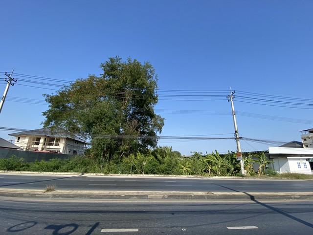 ขายที่ดิน 399.7 ตรว. ย่านศาลายา พุทธมณฑล ติดถนน 4 เลน ใกล้ รร.พระตำหนัก สวนกุหลาบ