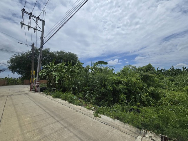 ขายที่ดินเปล่า 126 ตร.ว ถนนทวีวัฒนา หน้าปากซอยทวีวัฒนา-กาญจนาภิเษก 20 แปลงมุม ที่ดินทำเลดี ติดถนนใหญ่ ใกล้มหาวิทยาลัยกรุงเทพธนบุรี