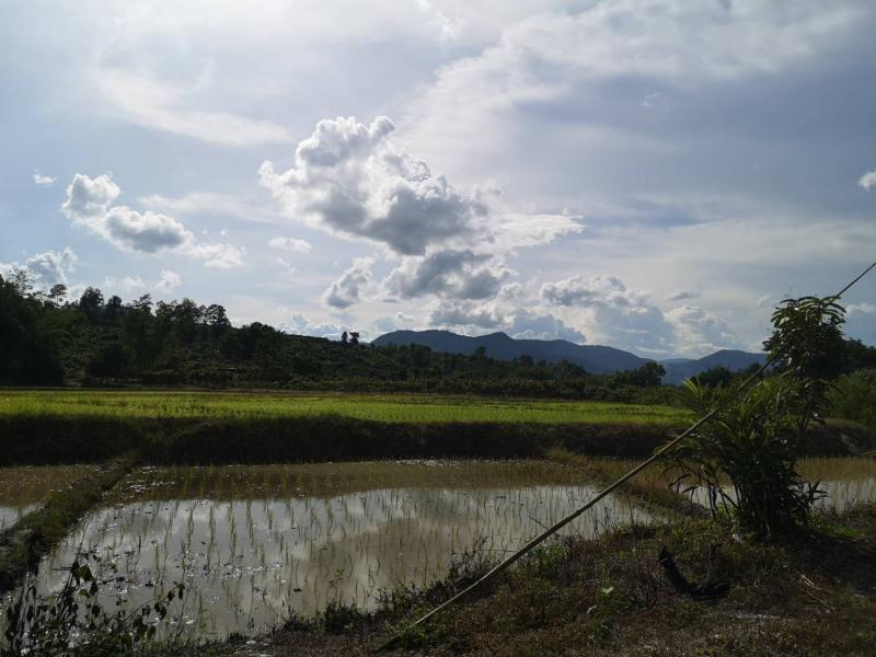 ที่ดินการเกษตรทำเลทอง อำเภอพร้าว เชียงใหม่ โอกาสดีที่ไม่ควรพลาด! ราคาพิเศษเพียง 6 ล้านบาท