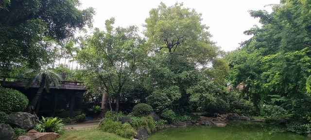 ขายที่ดินพร้อมสวนสไตล์รีสอร์ท ออกแบบโดยนักจัดสวนอันดับต้นของประเทศ 1ไร่ 12ตร.ว หมู่บ้านนวธานี เสรีไทย59