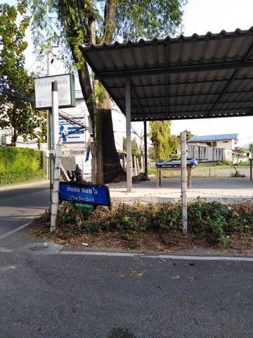 ขายที่ดินเปล่าปากเกร็ด ซ.ต้นสน 6 ซ.แจ้งวัฒนะ-ปากเกร็ด 20