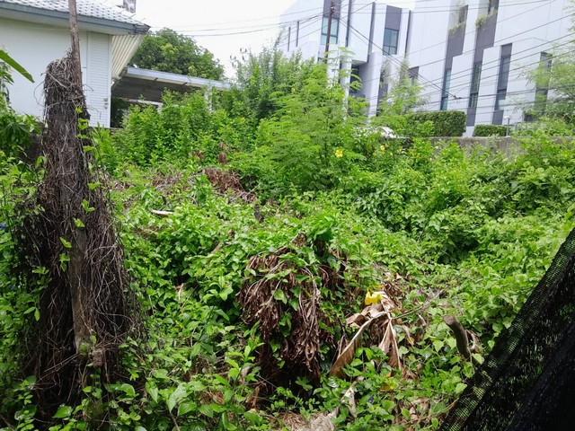 ขายที่ดินเปล่า 33 ตร.ว ซอยวชิรธรรมสาธิต 58 สุขุมวิท 101/1 ใกล้ BTS ปุณณวิถี เหมาะสำหรับปลูกบ้าน โฮมออฟฟิศ หรือไว้ลงทุน