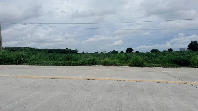 ขายที่ดินบางละมุงชลบุรี เสนอขายที่ดินทำเลดีผัง EEC สีเหลือง 57-3-26 ไร่ (โฉนด 1ใบ)