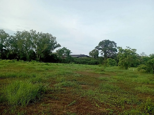 ขายที่ดิน 2-1-89 ไร่ ต.ในเมือง อ.เมือง จ.เมือง จ.ยโสธร  อยู่กลางเมืองใกล้สถานที่สำคัญ