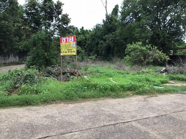 ขายที่ดินพร้อมสิ่งปลูกสร้าง 398 วา  บ้านปลาดุก  ซอยผิวรัตนา ซอยหาภูมิสุขราวัลย์  เมืองอุบลราชธานี