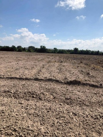 ขายที่ดินบ้านบึงชลบุรี #ขายที่ดิน 49-3-38.1 ไร่ ที่ดินรูปแปลงสวย พื้นเสมอ ไม่ต้องถม