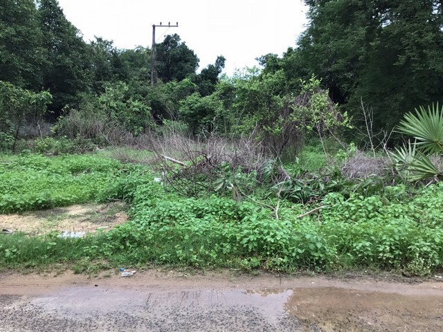 ขายที่ดินพร้อมสิ่งปลูกสร้าง 398 วา  บ้านปลาดุก  ซอยผิวรัตนา ซอยหาภูมิสุขราวัลย์  เมืองอุบลราชธานี