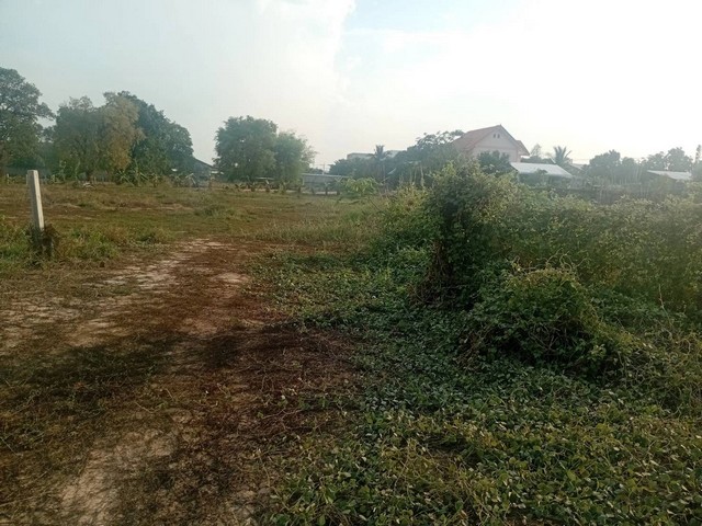 ขายด่วน ที่ดิน268 วา    ใกล้โรงแรมเดอะกรีนปาร์ค เมืองยโสธร