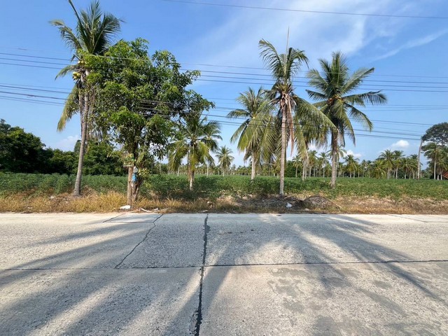 ขายที่ดินบางละมุงชลบุรี ขายที่ดิน - ตะเคียนเตี้ย บนเนื้อที่ 42 ไร่ ทำเลดี เหมาะสำหรับสร้างโรงงาน โกดัง คลังสินค้า ศูนย์กระจายสินค้า