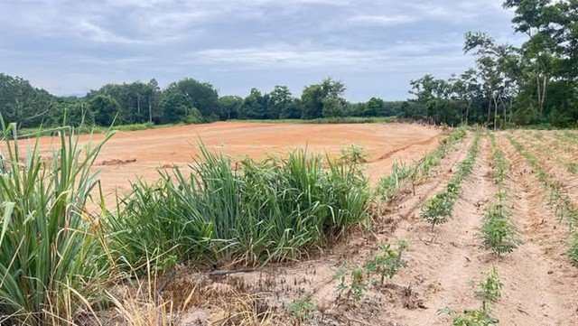 ขายที่ดินมาบยางพรระยอง ผังสีเหลือง บนที่ดิน 6 ไร่ มี 3 โฉนด โฉนดละ 2 ไร่