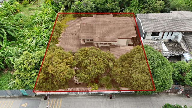 ขายบ้านเดี่ยวสุขุมวิท 64 ที่ดินสุขุมวิท 64 ใกล้รถไฟฟ้า ปุณณวิถี อุดมสุข แปลงสวยหน้ากว้าง 