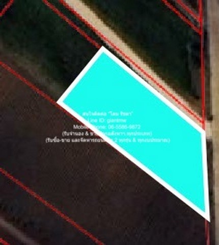 ที่ดิน ขายที่ดินไร่สวนทางการเกษตร (ติดถนน และติดเขา) 1 ไร่ 0 งาน 0 SQ.WA 550000 บ. ใกล้ จุดชมวิวเขาช่องลม เขาช่องลม ราคาถูก อุทัยธานี   