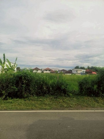 ที่ดินเปล่า ย่านสุเทพ ทำเลทอง ติดโครงการ โมโนทาวน์         