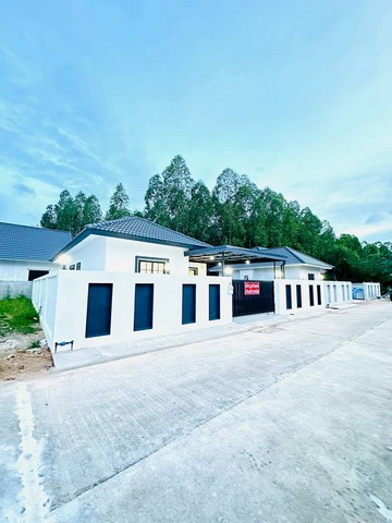 บ้านเดี่ยวสร้างใหม่  หลังใหญ่, หัวมุม, มีพื้นที่เหลือเยอะมาก สามารถทำสระได้