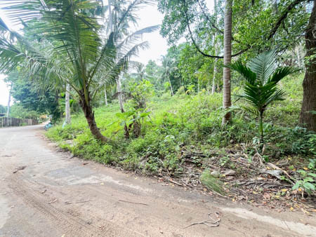 Last Large Land Plot in Lipa Noi  Near Blue Market  Nathon Pier Limited Offer Premium Samui Land