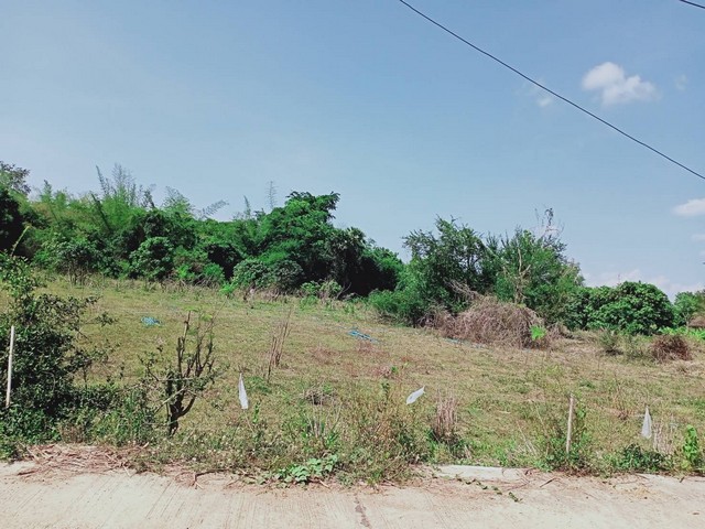 ขายที่ดิน ทำเลทอง แก่งกระจาน 5-2-59 ไร่ เดินทางสะดวก พื้นที่โล่งกว้าง อากาศดีมาก เพชรบุรี