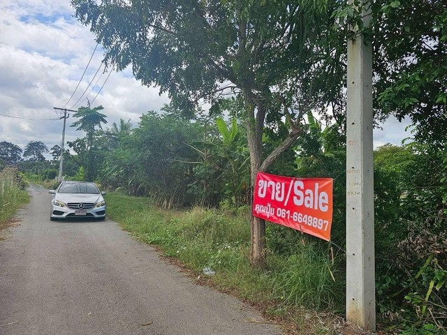 ขายที่โคราช ขายที่เปล่าปากช่อง ขายที่เขาใหญ่ ขายที่นครราชสีมา ส่วนตัว สงบ ร่มรื่น