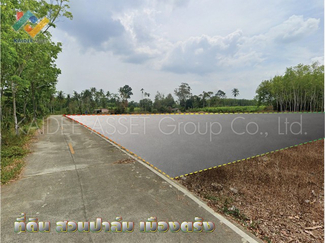 ที่ดิน โคกหล่อ เมืองตรัง ตรัง สวนปาล์ม ใกล้สนามบิน ราคาถูก