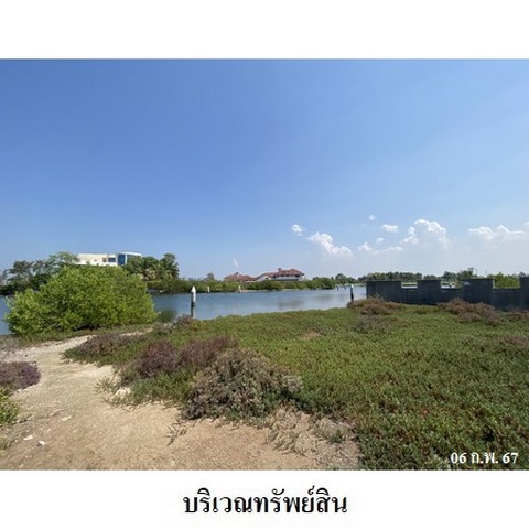 ขายที่ดินโครงการ รอยัล เลคไซด์ กอล์ฟ คลับ ถนน สุขุมวิทสายเก่า ตำบล ท่าข้าม อำเภอ บางปะกง จังหวัด ฉะเชิงเทรา