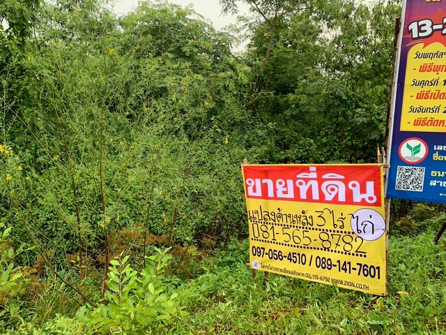 ขายที่ดิน 3 - 3 - 20 ไร่ ถนนปราจีนนุสรณ์   ท่างาม  เมืองปราจีนบุรี   ZW595