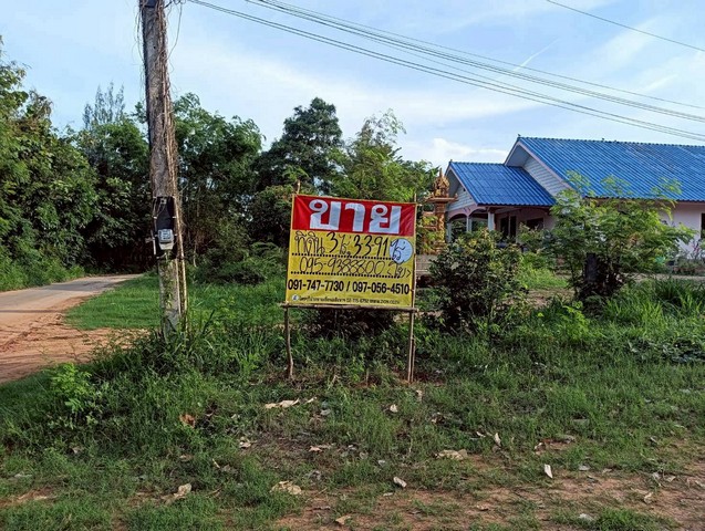 ขายที่ดิน 3 ไร่  ทำเลสวย ติดภูเขา ปากน้ำปราณ  ปราณบุรี  ประจวบคีรีขันธ์   ZW582