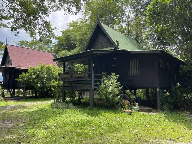 โฮมสเตย์วิวทุ่งนา บนที่ดิน 10 ไร่เศษ พร้อมบ้านไม้โบราณ ทำเลแม่ริม