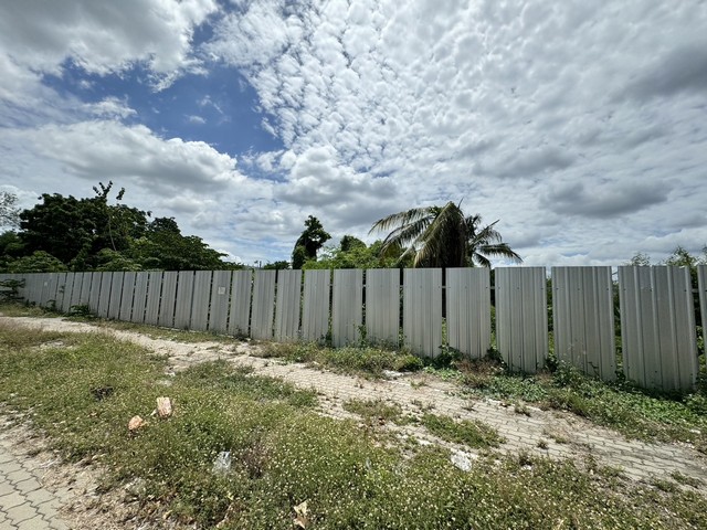 ขายที่ดินติดถนน​พุทธมณฑลสาย4 ที่ดินใกล้มหิดลศาลายา  ต.ศาลายา อ.พุทธมณฑล จ.นครปฐม