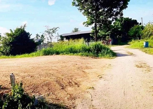 ขายที่ดินสวยถมแล้วมาบไผ่บ้านบึงชลบุรี ที่ดินปรับถมเรียบร้อยแล้วเนื้อที่ 50ตรว