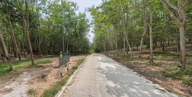 ขายที่ดินตำบลกะเฉด ทำเลทอง ใกล้ถนนหมายเลข 3 ระยอง FP-L0969