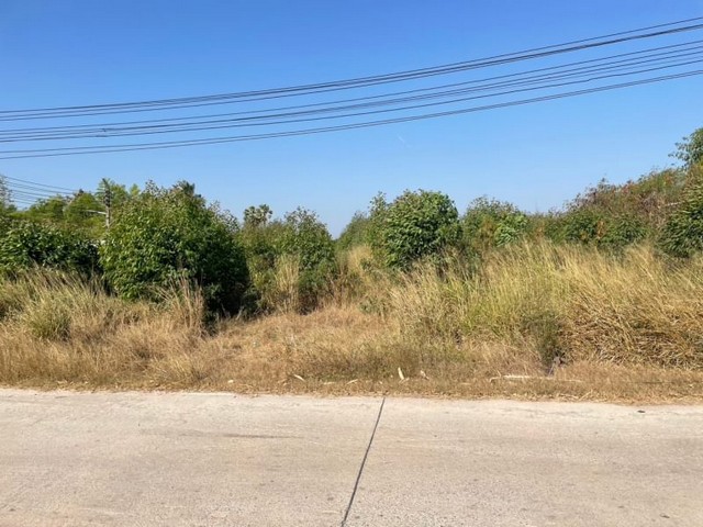 ขายที่ดินบ้านบึง ติดทางสาธารณะ แปลงสวย โซนหนองบอนแดง ชลบุรี FP-L0967 