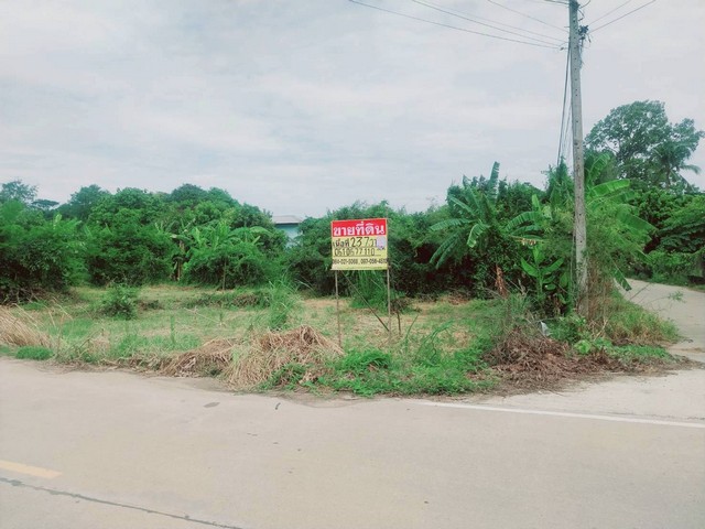 ขายที่ดิน 237 ตารางวา ติดถนนเลี่ยงเมือง นครสวรรค์ - พิษณุโลก  บางพระหลวง  เมืองนครสวรรค์