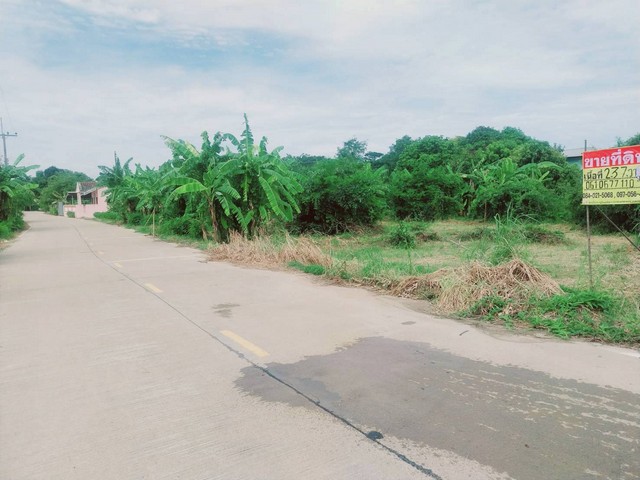 ขายที่ดิน 237 ตารางวา ติดถนนเลี่ยงเมือง นครสวรรค์ - พิษณุโลก  บางพระหลวง  เมืองนครสวรรค์