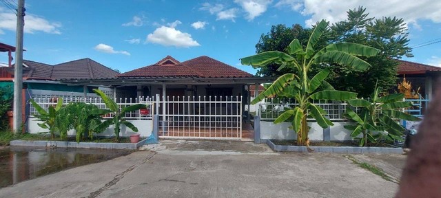 ขายบ้านพร้อมที่ดิน 56 ตร.ว. ใกล้เมืองลำพูน  เงียบสงบ บ้านเดียว 