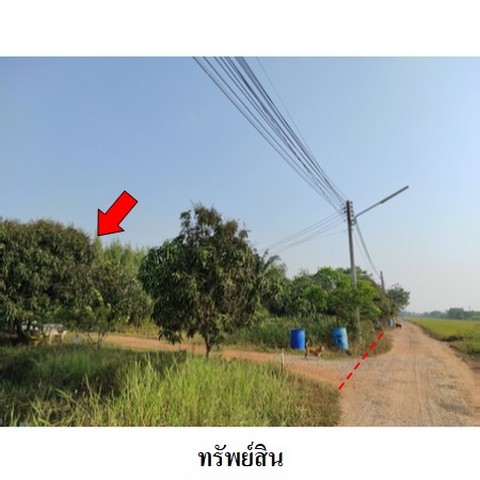 ขายบ้าน ถนน สุวินทวงศ์ ตำบล คลองนครเนื่องเขต อำเภอ เมืองฉะเชิงเทรา จังหวัดฉะเชิงเทรา